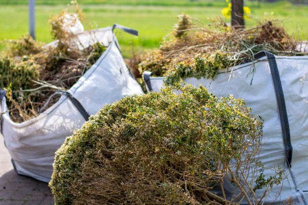 Best Yard Cleanup Services  in Barron, WI